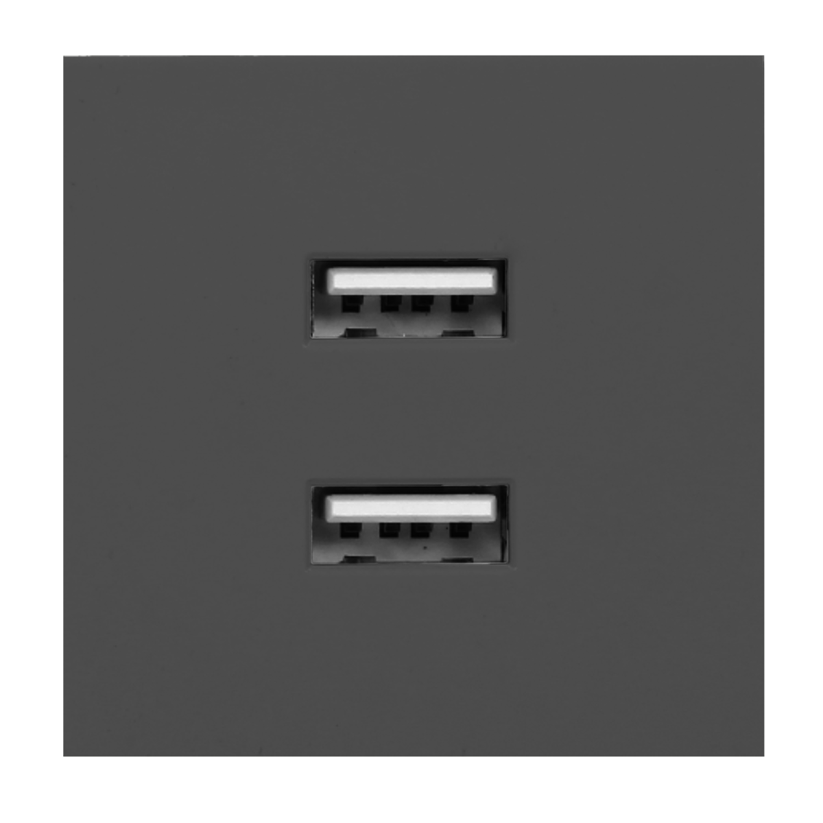 OR-GM-9010/B/USBX2--Port modułowy do wbudowania w kasetę meblową OR-GM-9010, który stanowi jej wymienny element. Idealnie komponuje się z pozostałymi elementami serii NOEN.