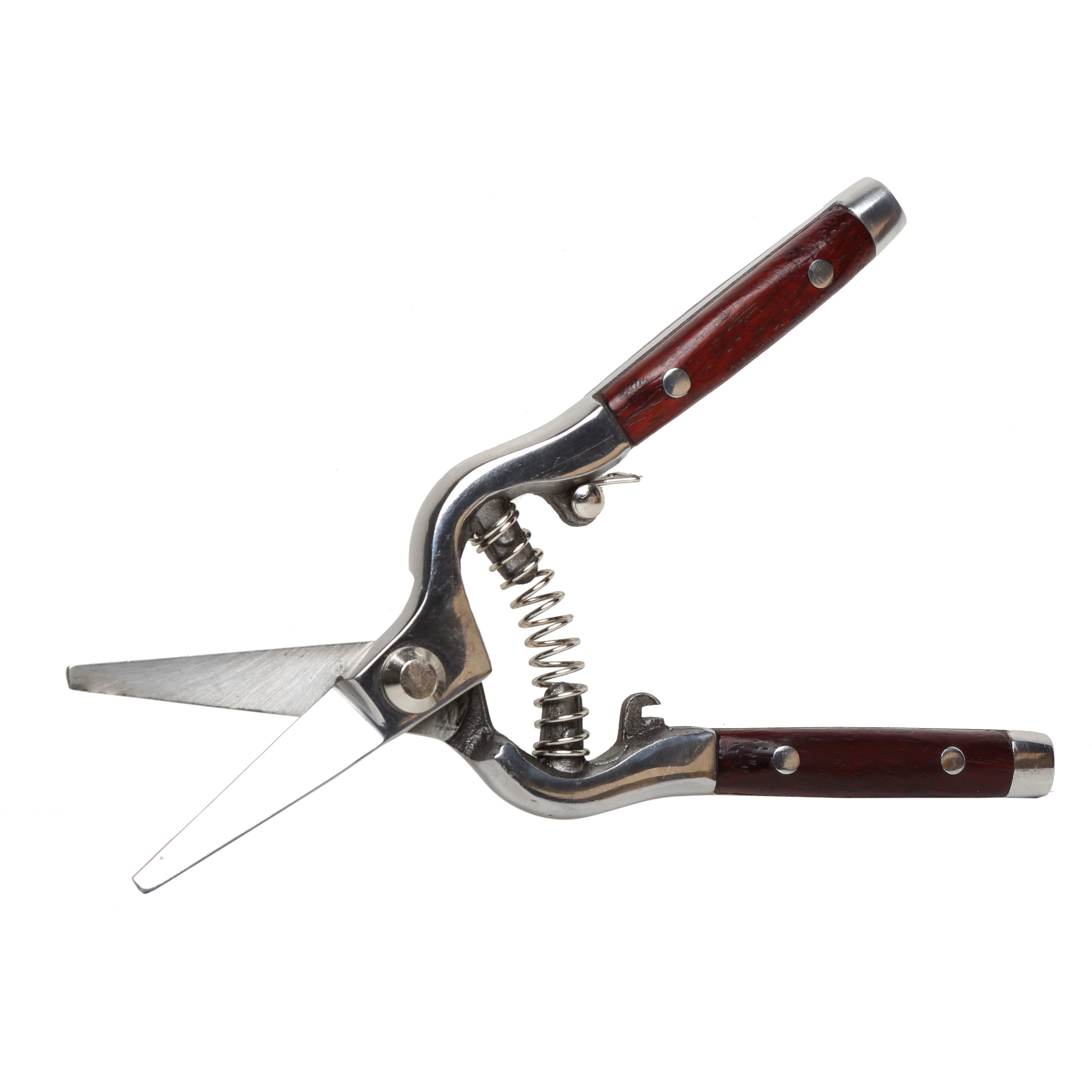 40017--Sekator premium do róż, kuty, 8", drewn. rączka, proline