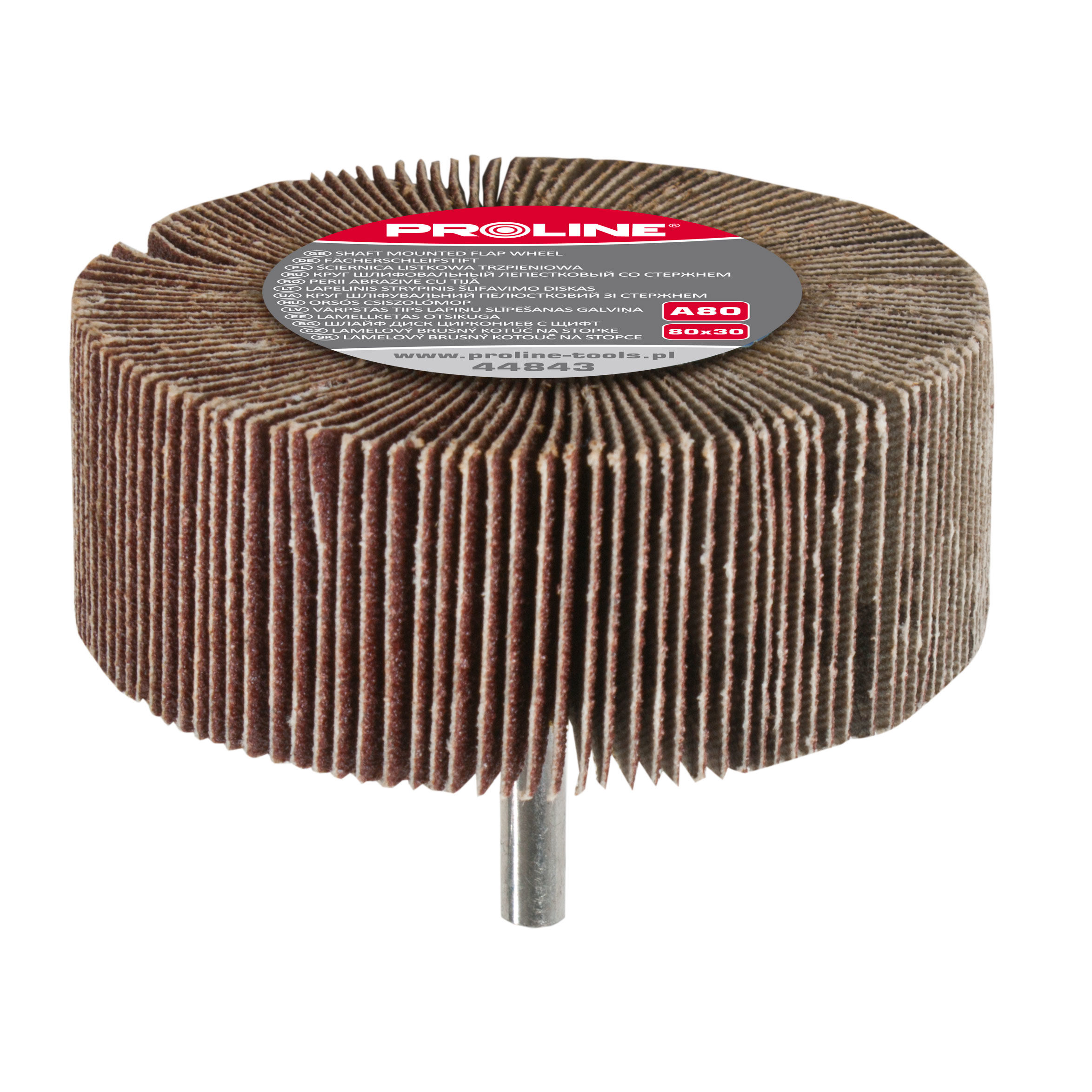 44825--Ściernica listkowa trzpieniowa, a120, 40x20 proline