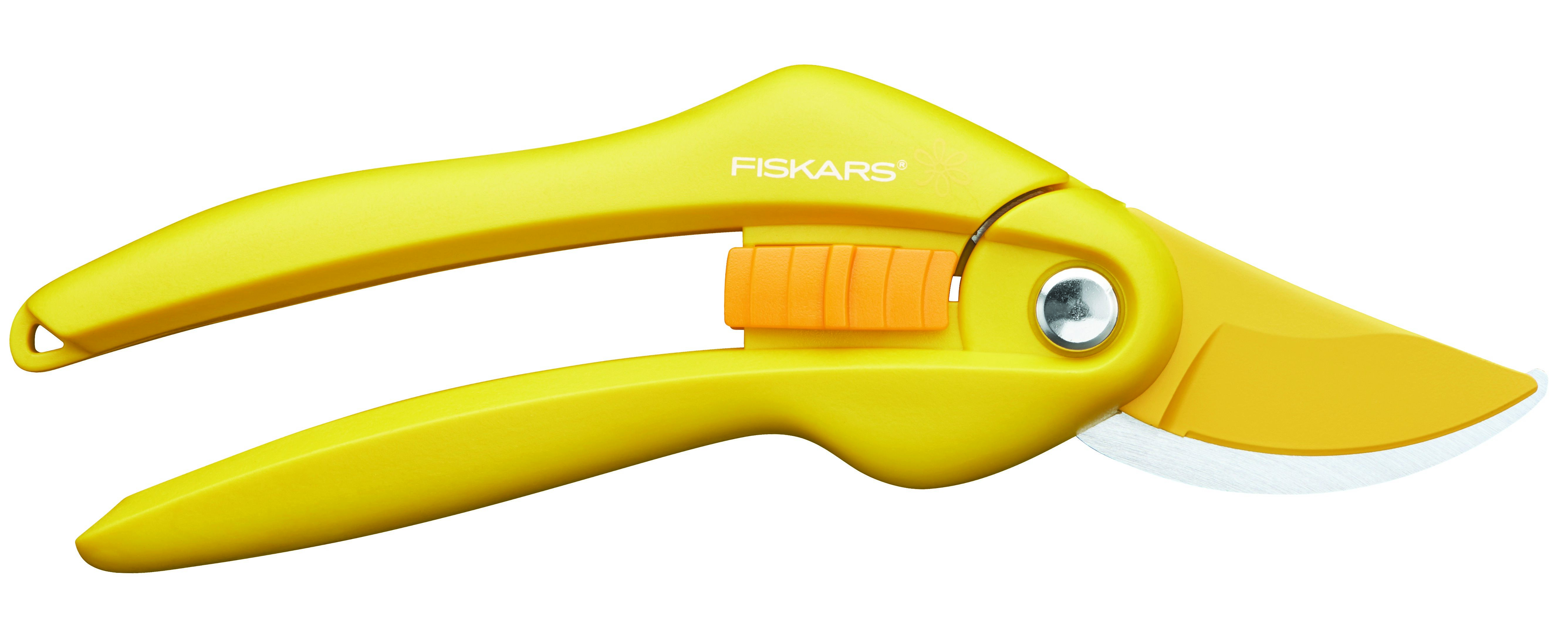 F1027494--Sekator szafran