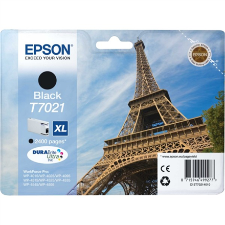 C13T70214010--Epson T7021 Ink Cartridge, Black